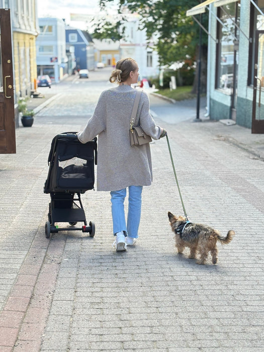 Ora Aina -Matkarattaat