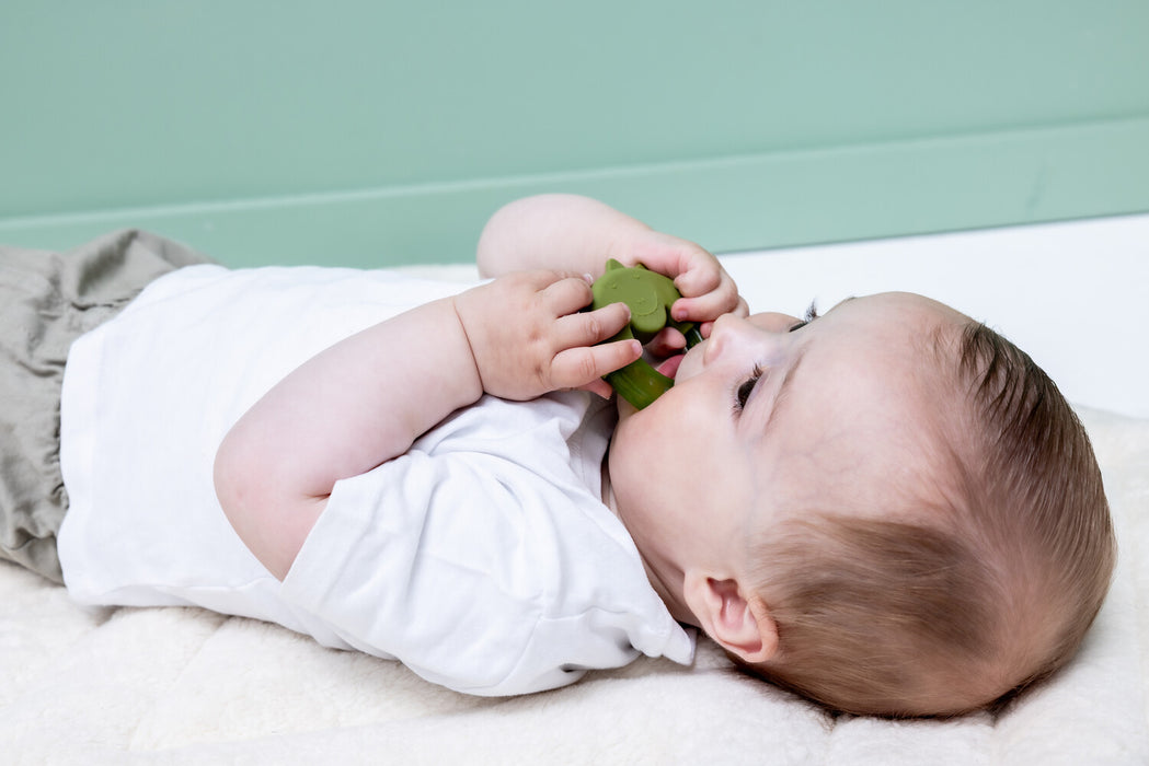 Trixie viilentävä purulelu (dino) ja vauva 